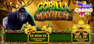 photo_2024-04-24_15-02-27.png photo_2024-04-24_15-02-27.png